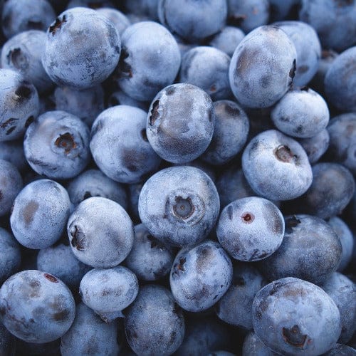 Blueberries Wild Native