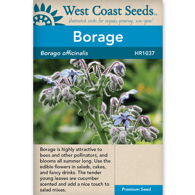 Borage - West Coast Seeds