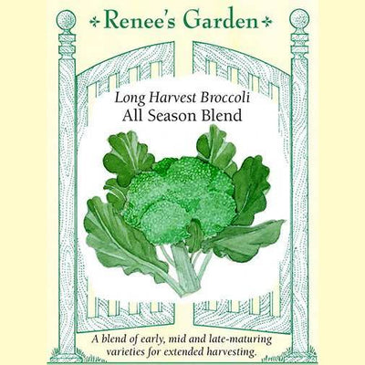 Broccoli All Season Blend - Renee's Garden Seeds