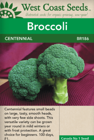 Broccoli Centennial - West Coast Seeds