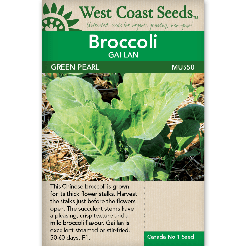 Broccoli Green Pearl - West Coast Seeds