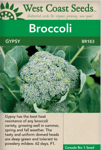 Broccoli Gypsy - West Coast Seeds