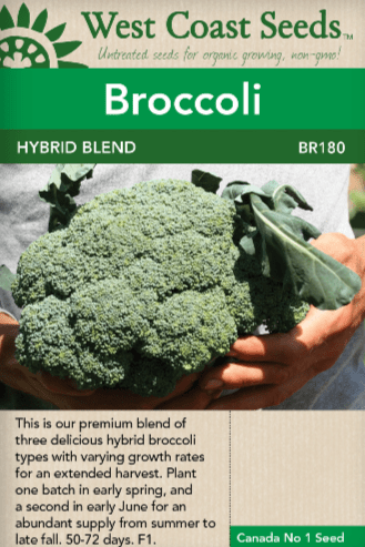 Broccoli Hybrid Blend - West Coast Seeds