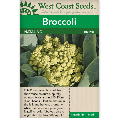 Broccoli Natalino - West Coast Seeds