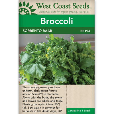 Broccoli Sorrento Raab - West Coast Seeds
