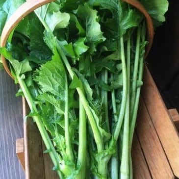 Broccoli Super Rapini - Renee's Garden Seeds