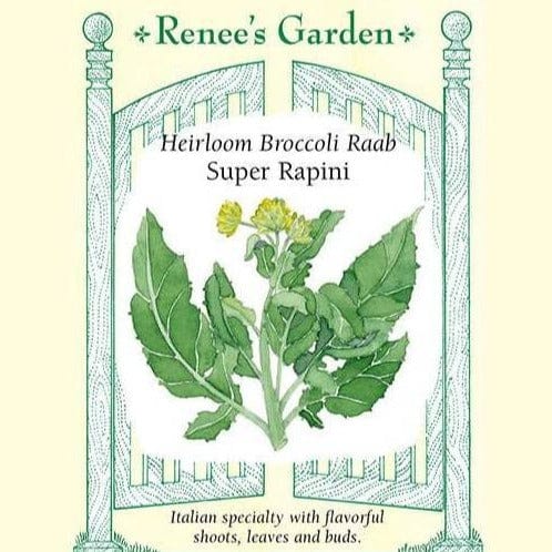 Broccoli Super Rapini - Renee's Garden Seeds