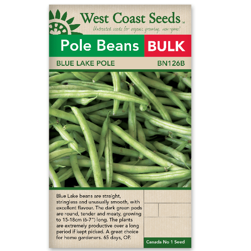 Pole Bean Blue Lake BULK SIZE- West Coast Seeds