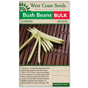 Beans Bush Carson BULK SIZE - West Coast Seeds
