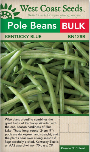 BULK Bean Kentucky Blue Pole - West Coast Seeds
