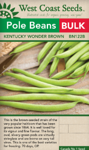 Beans Kentucky Brown BULK SIZE - West Coast Seeds
