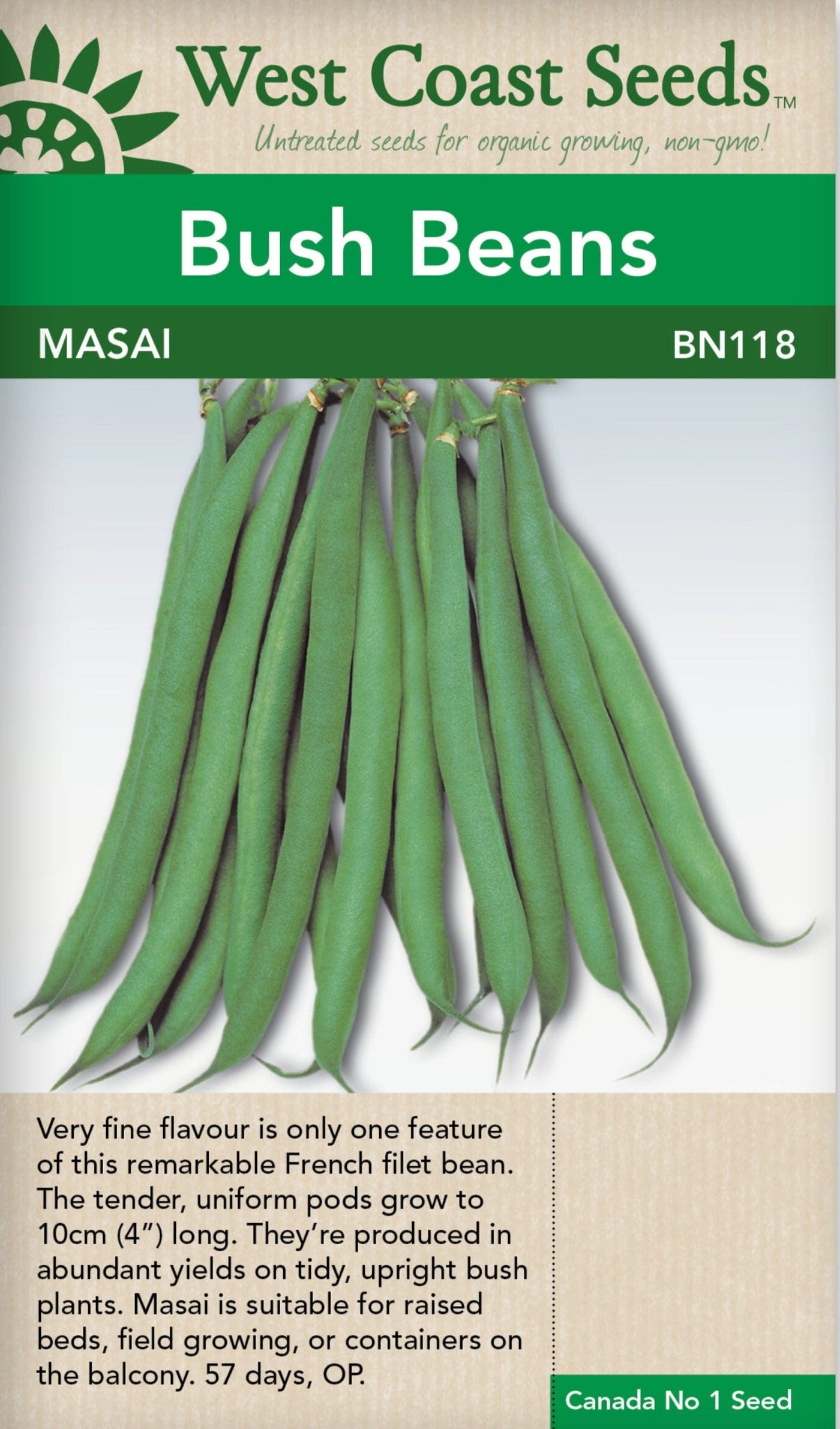 BULK Bean Masai Bush - West Coast Seeds