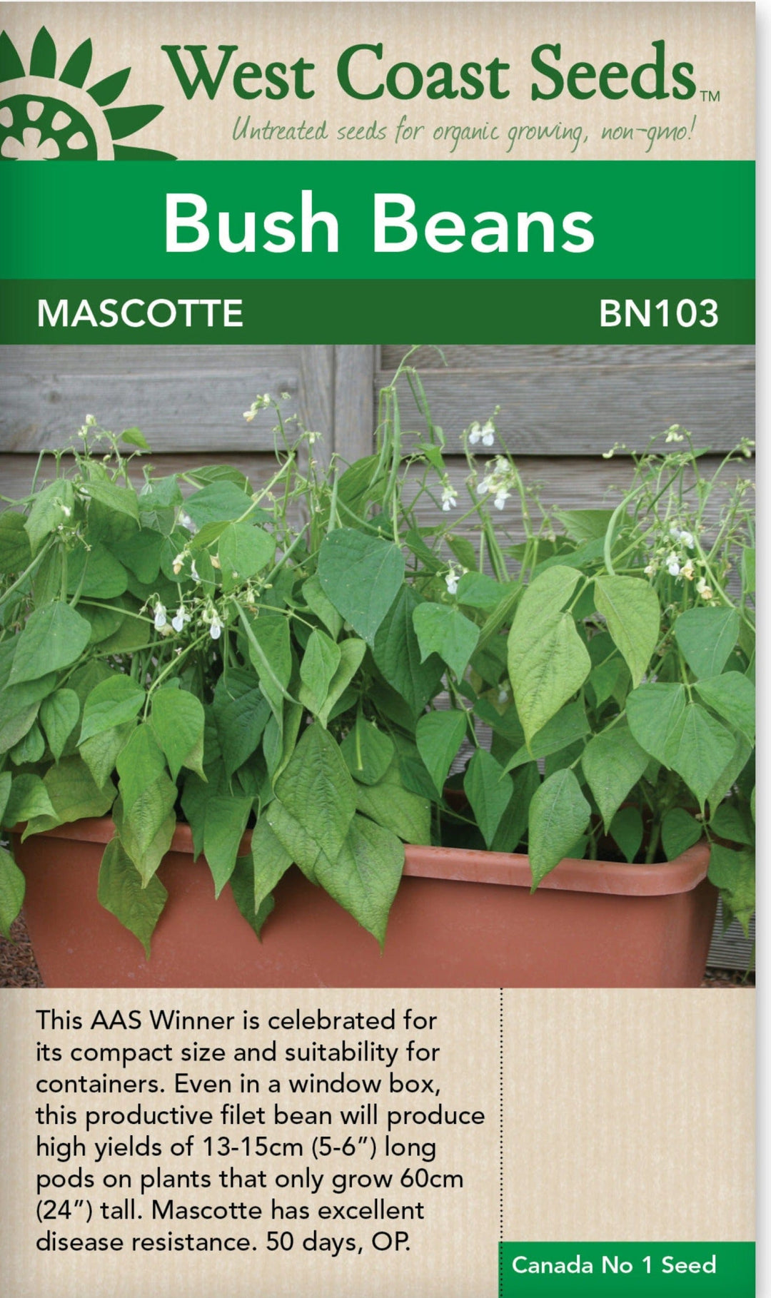 BULK Bean Mascotte Bush - West Coast Seeds