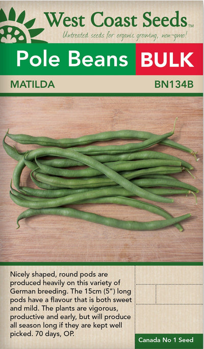 BULK Bean Matilda Pole - West Coast Seeds