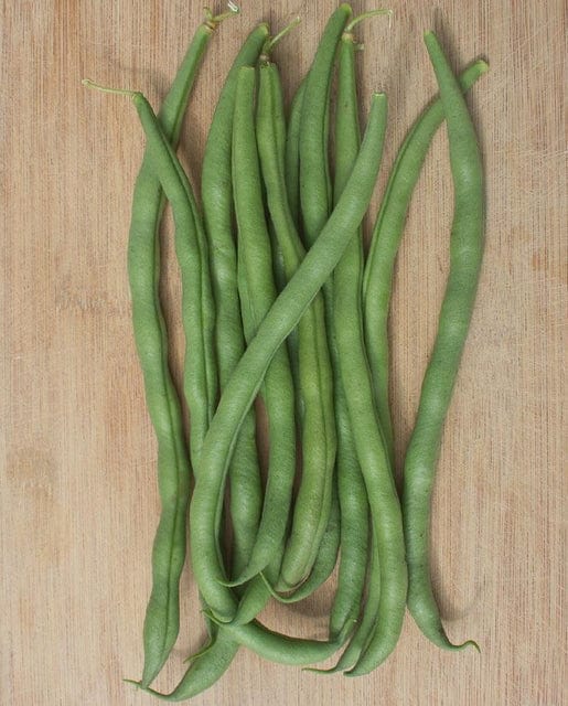 BULK Bean Matilda Pole - West Coast Seeds