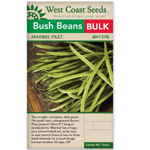 Bush Bean Maxibel Filet BULK SIZE - West Coast Seeds