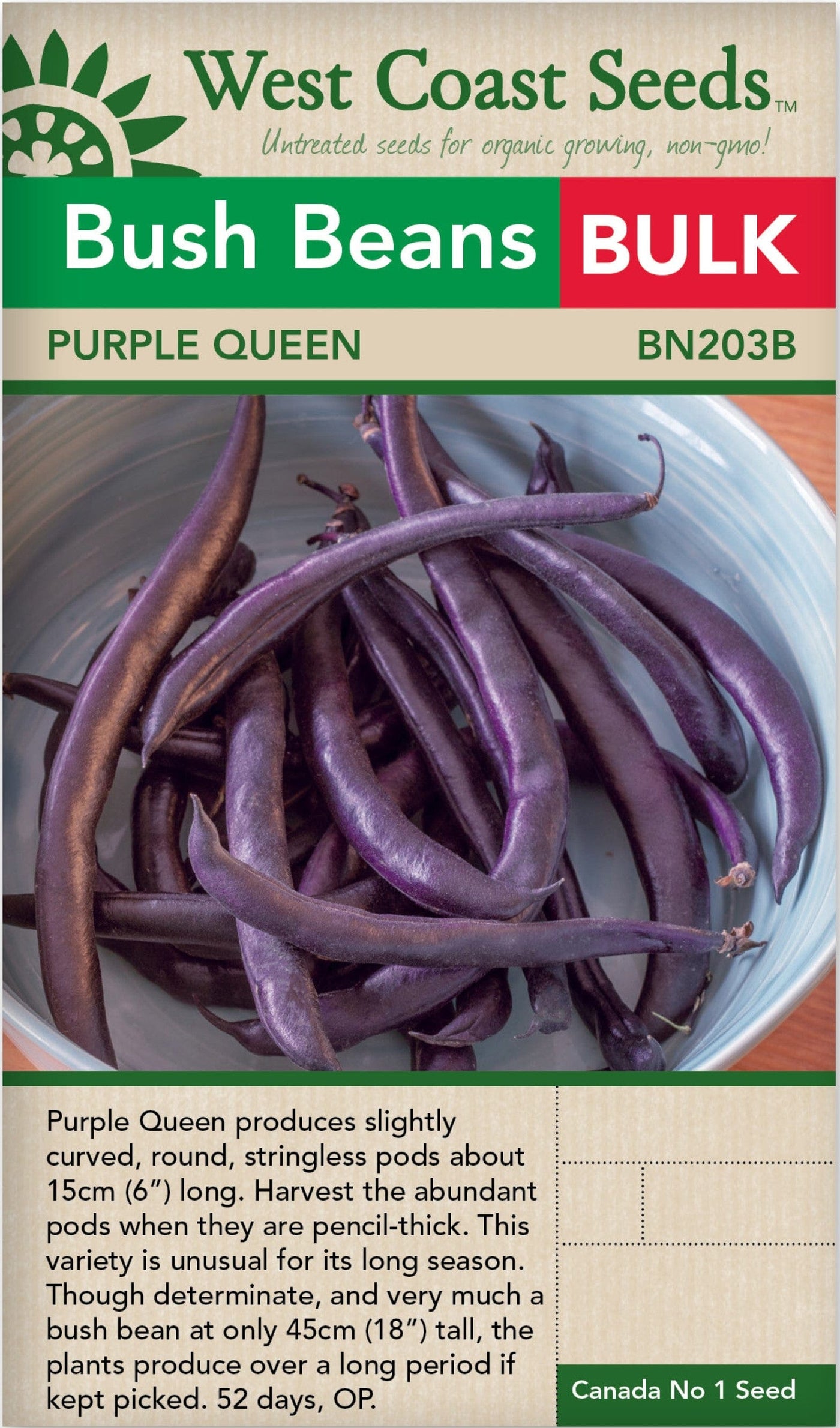 BULK Bean Purple Queen Bush - West Coast Seeds