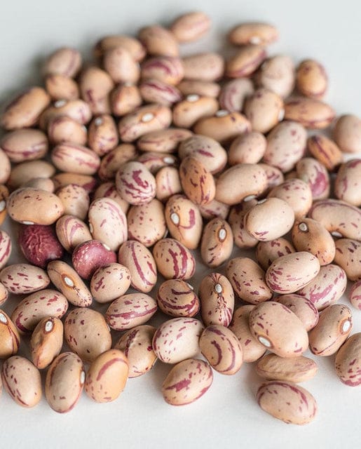 BULK Bean Taylor Horticultural - West Coast Seeds