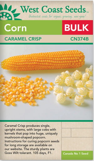 BULK Corn Caramel Crisp - West Coast Seeds
