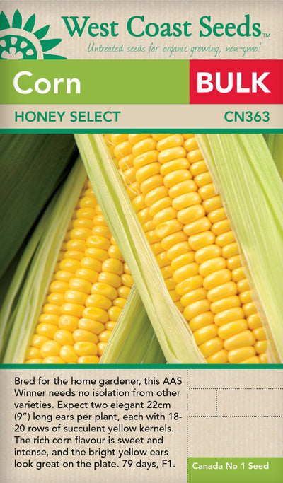 BULK Corn Honey Select - West Coast Seeds