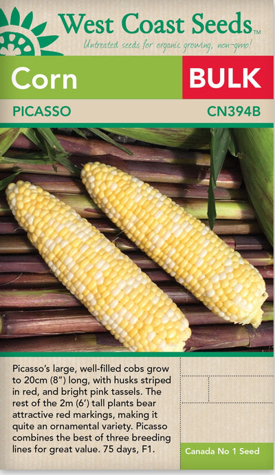 BULK Corn Picasso - West Coast Seeds
