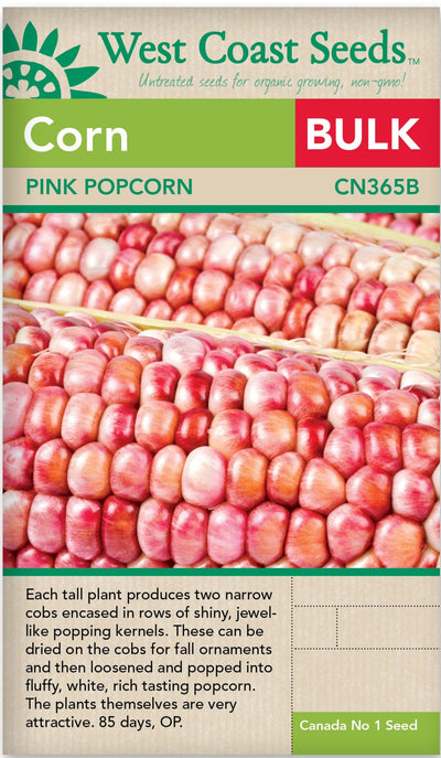BULK Corn Pink Popcorn - West Coast Seeds