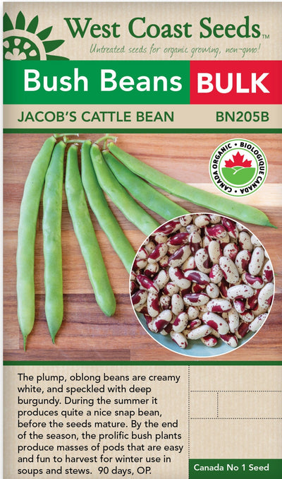 BULK Organic Bean Jacob's Cattle - West Coast Seeds