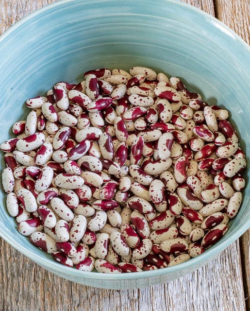 BULK Organic Bean Jacob's Cattle - West Coast Seeds