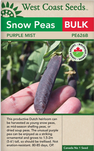 BULK Organic Pea Purple Mist - West Coast Seeds