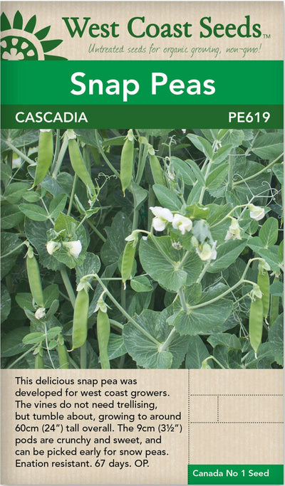 BULK Pea Cascadia - West Coast Seeds