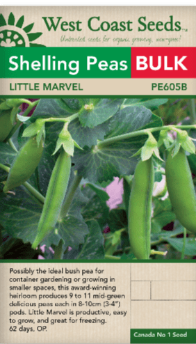 Peas Shelling Little Marvel BULK SIZE - West Coast Seeds