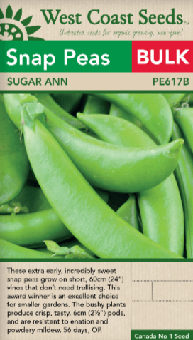 Snap Pea Sugar Ann BULK - West Coast Seeds