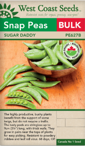 Peas Snap Sugar Daddy BULK SIZE - West Coast Seeds