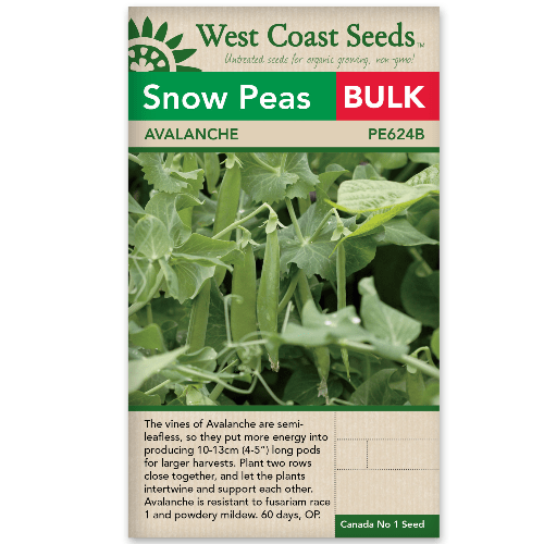 Peas Snow Avalanche BULK SIZE - West Coast Seeds
