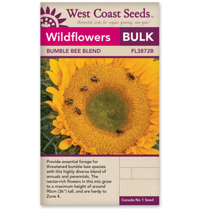 Wildflowers Bumble Bee Blend BULK SIZE - West Coast Seeds