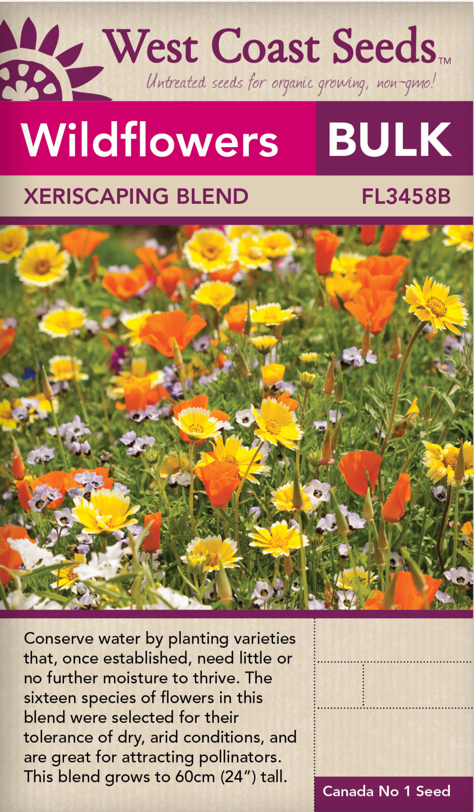 BULK Wildflowers Xeriscaping Blend - West Coast Seeds