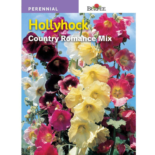 Hollyhock Country Romance Mix - Burpee Seeds