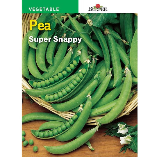 Pea Super Snappy - Burpee Seeds