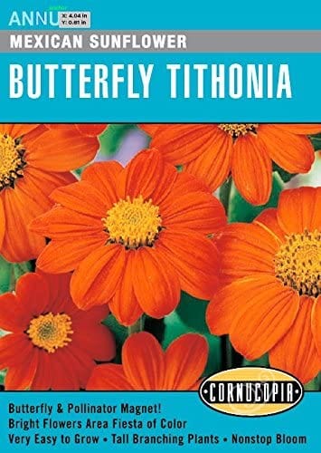 Butterfly Tithonia Mexican Sunflower - Cornucopia Seeds