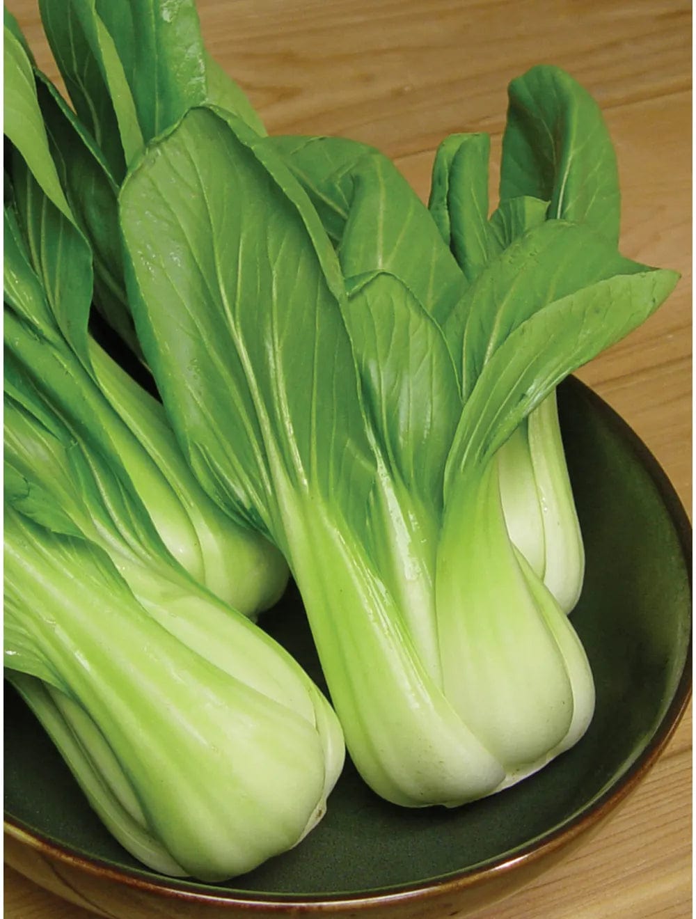 Cabbage Baby Choi - Burpee Seeds