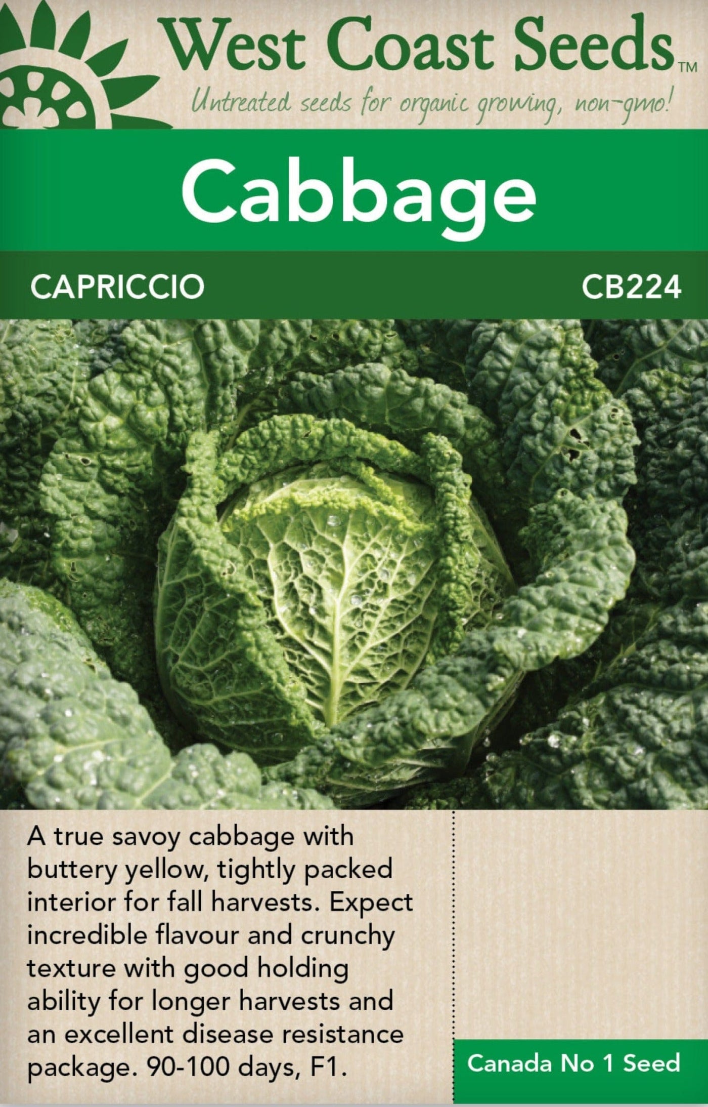 Cabbage Capriccio - West Coast Seeds