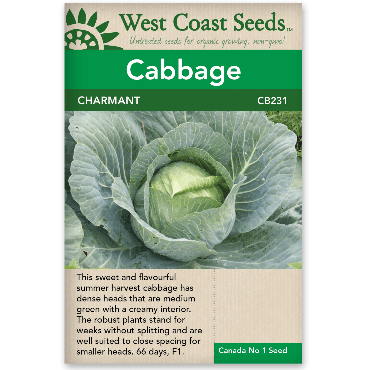 Cabbage Charmant - West Coast Seeds