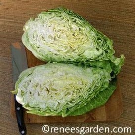 Cabbage Conehead - Renee's Garden Seeds