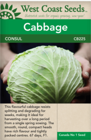 Cabbage Consul - West Coast Seeds