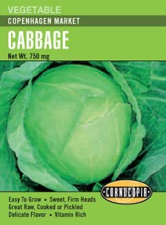 Cabbage Copenhagen Market - Cornucopia Seeds