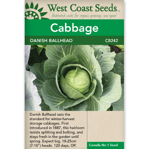 Cabbage Danish Ballhead - West Coast Seeds