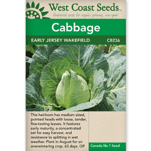 Cabbage Early Jersey Wakefield - West Coast Seeds