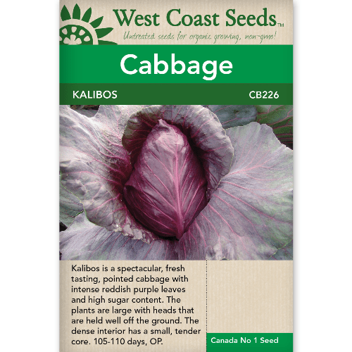 Cabbage Kalibos - West Coast Seeds