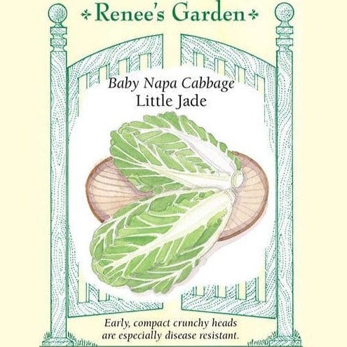 Cabbage Little Jade - Renee's Garden Seeds