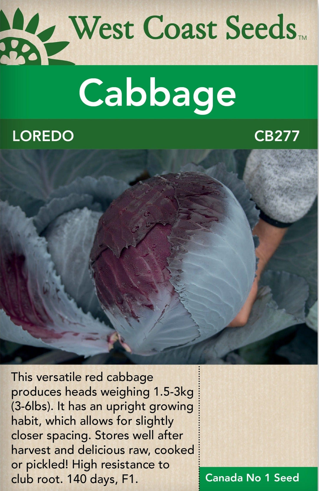 Cabbage Loredo - West Coast Seeds